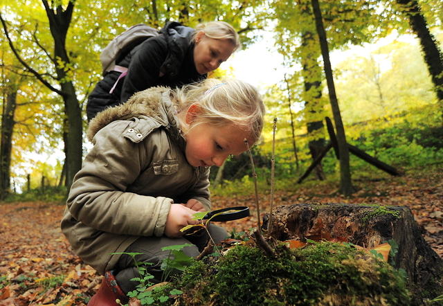 Une éducatrice observe un enfant assis qui explore la forêt avec une loupe. Ces activités de nos creches stimulent la soif de découverte et d'apprentissage des enfants et les relient à la nature luxembourgeoise.