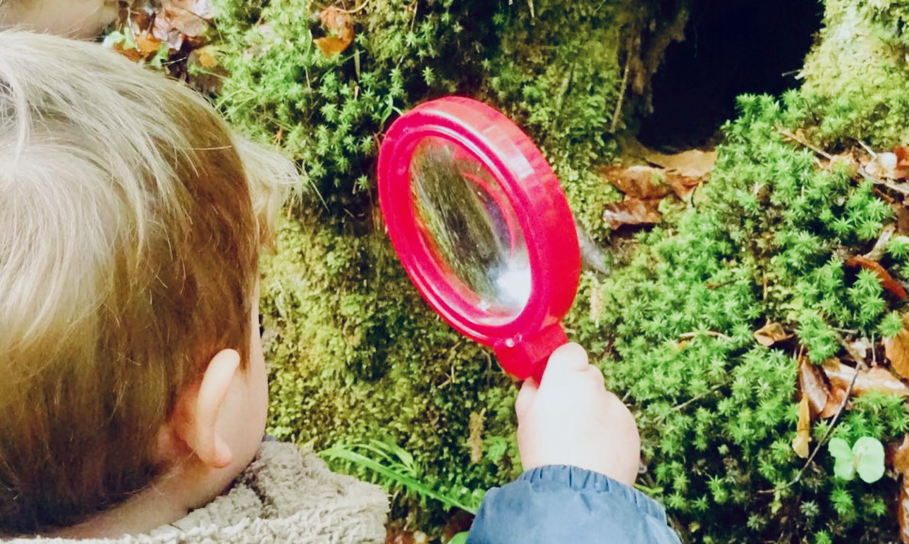 Un garçon examine quelques plantes, une loupe à la main. Chez Butzemillen, il est important de stimuler le désir naturel de découverte afin de favoriser la compréhension du monde des enfants.